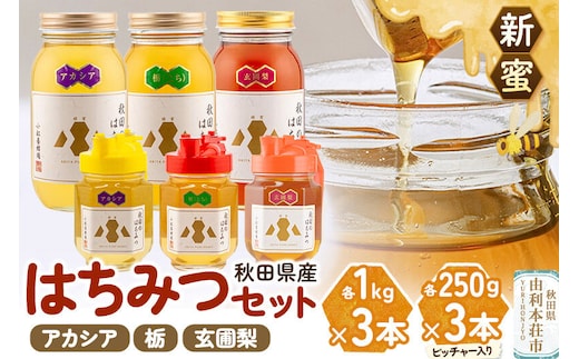 【新蜜】小松養蜂場 はちみつ 秋田県産 100％ 秋田のはちみつ6本セット 合計3.75kg（アカシア、栃、 玄圃梨 各1kg×1本+ピッチャー入各250g×1本) [はちみつ ハチミツ 蜂蜜 国産 秋田県産]