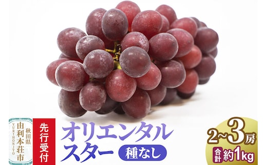 《先行受付》オリエンタルスター 2～3房（約1kg） 秋田県産 齋弥果樹園 [オリエンタルスター ぶどう ブドウ 葡萄 果物 フルーツ スイーツ 先行予約 秋田県産]