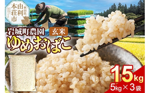 【玄米】ゆめおばこ 秋田県産 岩城町農園のゆめおばこ 15kg（5kg×3袋）令和7年産 真空パック [ゆめおばこ 米 お米 こめ 玄米 食卓 ご飯 ごはん おにぎり 秋田県 由利本荘市]