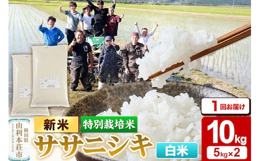 《令和8年産 新米》【白米】特別栽培米 ササニシキ 10kg（5kg×2袋） [ササニシキ 新米 米 お米 こめ 白米 精米 ブランド米 食卓 おにぎり 秋田県産 秋田]