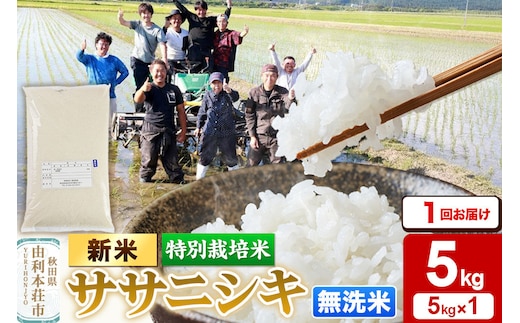 《令和8年産 新米》【無洗米】特別栽培米 ササニシキ 5kg 秋田県産 [ササニシキ 新米 米 お米 こめ 無洗米 ブランド米 食卓 おにぎり 秋田県産 秋田]