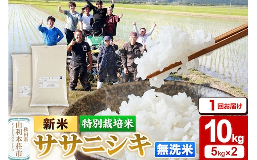 《令和8年産 新米》【無洗米】特別栽培米 ササニシキ 10kg（5kg×2袋）秋田県産 [ササニシキ 新米 米 お米 こめ 無洗米 ブランド米 食卓 おにぎり 秋田県産 秋田]