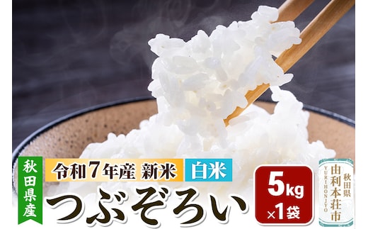 【白米】秋田県由利本荘市産 つぶぞろい 5kg 令和7年産