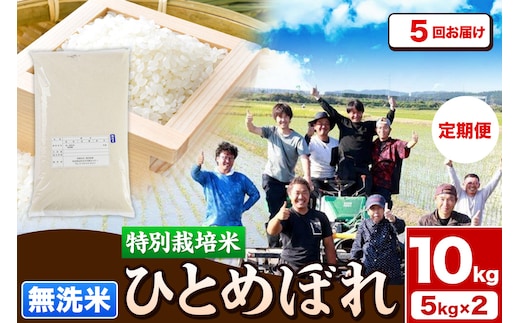 《定期便5ヶ月》令和7年産【無洗米】特別栽培米 ひとめぼれ 10kg（5kg×2袋）秋田県産 お米 米 こめ