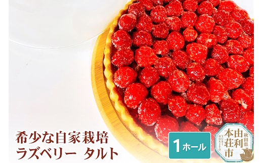 ラズベリータルト 自家栽培 １ホール(直径19cm)