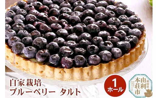 ブルーベリータルト 自家栽培 ブルーベリー １ホール(直径19cm)
