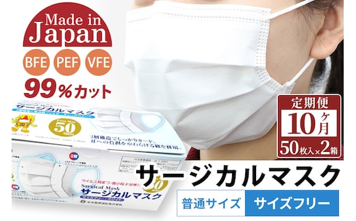 《定期便10ヶ月》国内製造 高性能サージカルマスク 普通サイズ 50枚入り×2箱 (合計100枚)×10回 10か月 10ヵ月 10カ月 10ケ月