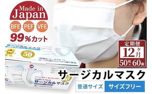 《定期便12ヶ月》国内製造 高性能サージカルマスク 普通サイズ 50枚入り×60箱 (合計3,000枚)×12回 12か月 12ヵ月 12カ月 12ケ月