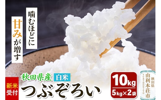 《新米受付》令和8年産【白米】つぶぞろい 10kg（5kg×2袋）秋田県由利本荘市産 [新米予約 米 お米 白米 精米 つぶぞろい 粒ぞろい 大粒 粒が大きい 柔らかい食感 甘み 粘り 香り ふっくら もっちり ご飯 ごはん 秋田]