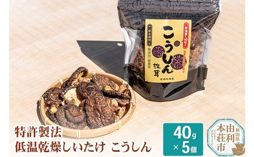岩城町農園 特許製法 低温乾燥しいたけ こうしん 200g(40g×5個)