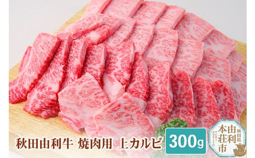 dショッピングふるさと納税百選 | 『牛肉』で絞り込んだ霧島市おすすめ