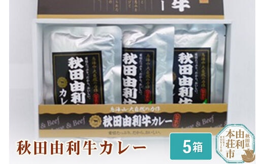 秋田由利牛カレー 200g×5箱
