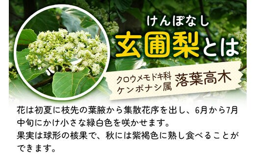 小松養蜂場 はちみつ 秋田県産 100% 秋田のはちみつ3本セット 合計3kg