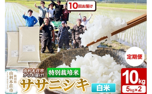 《定期便10ヶ月》令和7年産【白米】特別栽培米 ササニシキ 10kg（5kg×2袋） 秋田県産 [ササニシキ 米 お米 白米 精米 特別栽培米 ブランド米 食卓 秋田県産 秋田県 由利本荘市]
