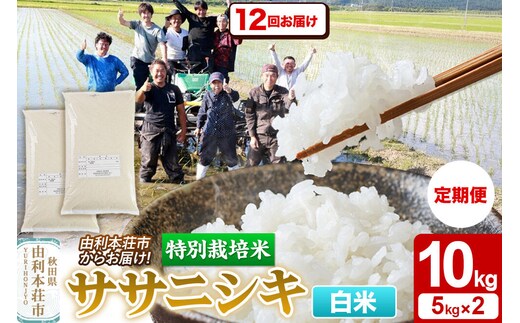 《定期便12ヶ月》令和7年産【白米】特別栽培米 ササニシキ 10kg（5kg×2袋） 秋田県産 [ササニシキ 米 お米 白米 精米 特別栽培米 ブランド米 食卓 秋田県産 秋田県 由利本荘市]