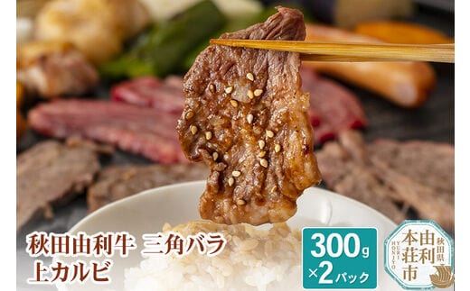 dショッピングふるさと納税百選 | 『牛肉』で絞り込んだ矢巾町の通販