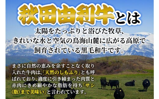 秋田由利牛カレー 200g×5箱 | dショッピングふるさと納税百選