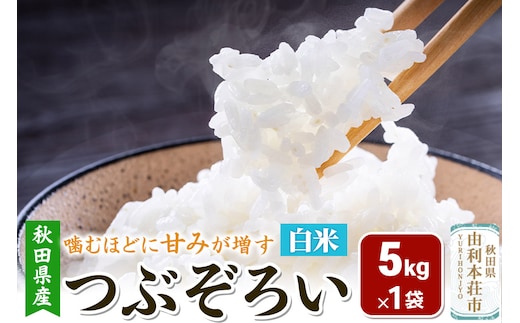 【白米】秋田県由利本荘市産 つぶぞろい 5kg 令和7年産