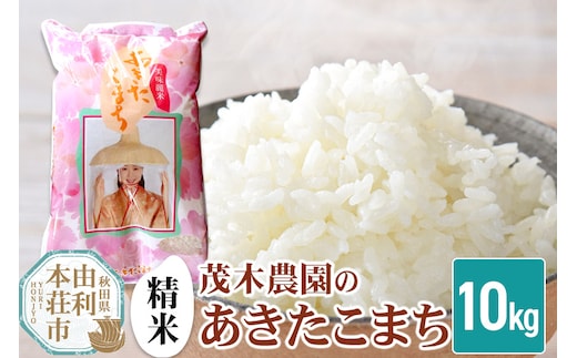 《令和7年産》【精米】あきたこまち 10kg 秋田県産 茂木農園のあきたこまち ブランド米 銘柄米 米どころ