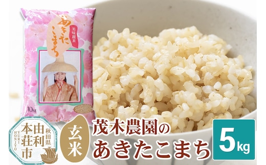 《令和7年産》【玄米】あきたこまち 5kg 秋田県産 茂木農園のあきたこまち ブランド米 銘柄米 米どころ