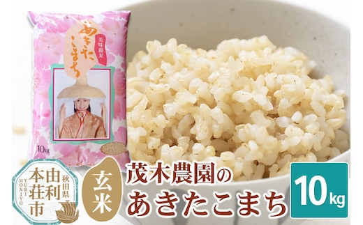 《令和7年産》【玄米】10kg あきたこまち 秋田県産 茂木農園のあきたこまち 玄米 10kg