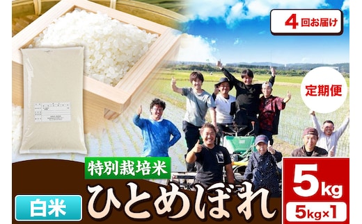 《定期便4ヶ月》令和7年産【白米】特別栽培米 ひとめぼれ 5kg 秋田県産 [ひとめぼれ 米 お米 白米 精米 特別栽培米 ブランド米 食卓 秋田県産 秋田県 由利本荘市]