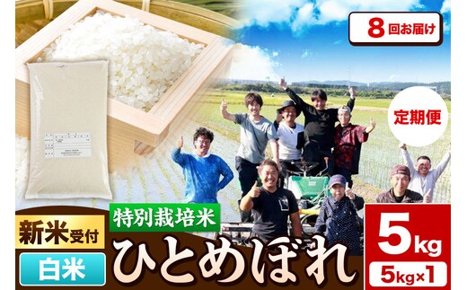 《新米予約》《定期便8ヶ月》令和8年産【白米】特別栽培米 ひとめぼれ 5kg 秋田県産 [ひとめぼれ 米 お米 白米 精米 特別栽培米 ブランド米 食卓 秋田県産 秋田県 由利本荘市]