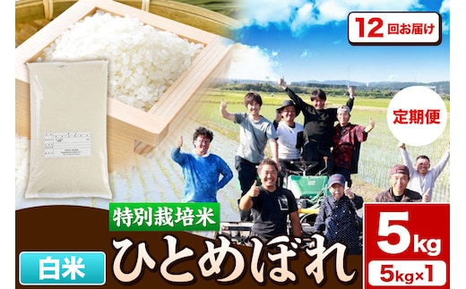 《定期便12ヶ月》令和7年産【白米】特別栽培米 ひとめぼれ 5kg 秋田県産 [ひとめぼれ 米 お米 白米 精米 特別栽培米 ブランド米 食卓 秋田県産 秋田県 由利本荘市]