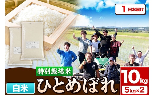 令和7年産【白米】特別栽培米 ひとめぼれ 10kg（5kg×2袋）秋田県産 [ひとめぼれ 米 お米 白米 精米 特別栽培米 ブランド米 食卓 秋田県産 秋田県 由利本荘市]
