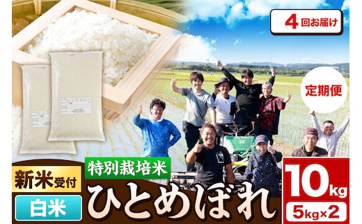 《新米予約》《定期便4ヶ月》令和8年産【白米】特別栽培米 ひとめぼれ 10kg（5kg×2袋）秋田県産 [ひとめぼれ 米 お米 白米 精米 特別栽培米 ブランド米 食卓 秋田県産 秋田県 由利本荘市]