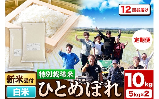 《新米予約》《定期便12ヶ月》令和8年産【白米】特別栽培米 ひとめぼれ 10kg（5kg×2袋）秋田県産 [ひとめぼれ 米 お米 白米 精米 特別栽培米 ブランド米 食卓 秋田県産 秋田県 由利本荘市]