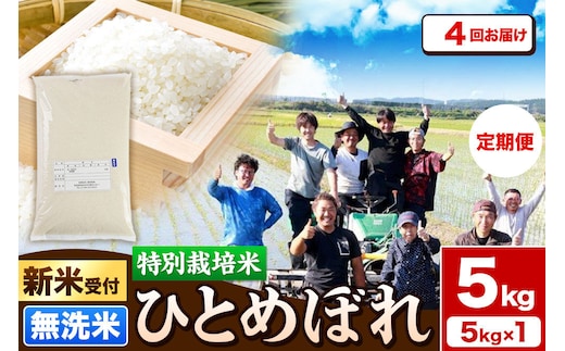 《新米予約》《定期便4ヶ月》令和8年産【無洗米】特別栽培米 ひとめぼれ 5kg 秋田県産 [ひとめぼれ 米 お米 白米 精米 無洗米 特別栽培米 ブランド米 食卓 秋田県産 秋田県 由利本荘市]