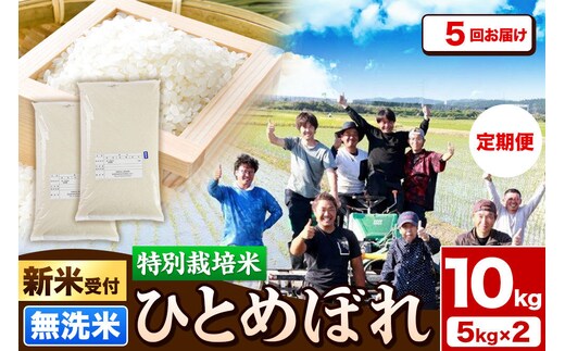 《新米予約》《定期便5ヶ月》令和8年産【無洗米】特別栽培米 ひとめぼれ 10kg（5kg×2袋）秋田県産 [ひとめぼれ 米 お米 白米 精米 無洗米 特別栽培米 ブランド米 食卓 秋田県産 秋田県 由利本荘市]