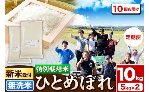《新米予約》《定期便10ヶ月》令和8年産【無洗米】特別栽培米 ひとめぼれ 10kg（5kg×2袋）秋田県産 [ひとめぼれ 米 お米 白米 精米 無洗米 特別栽培米 ブランド米 食卓 秋田県産 秋田県 由利本荘市]