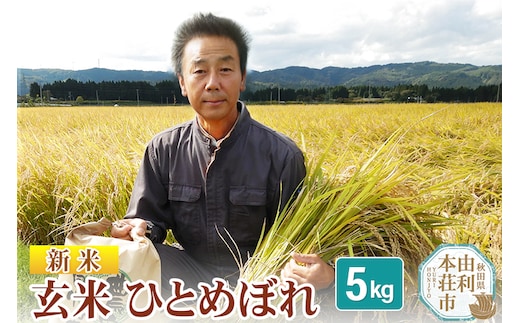 【玄米】 ＜通算5回 特A＞ ひとめぼれ 5kg 令和7年産 新米 農家直送 渡部さんのひとめぼれ