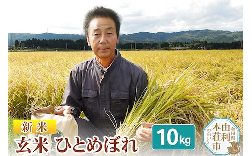 【玄米】 ＜通算5回 特A＞ ひとめぼれ 10kg 令和7年産 新米 農家直送 渡部さんのひとめぼれ