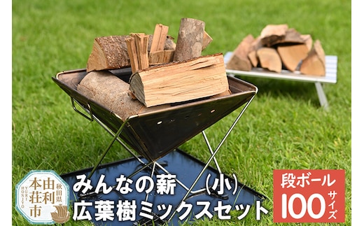 みんなの薪(小) 広葉樹ミックスセット 20cmから25cmカット 100サイズ