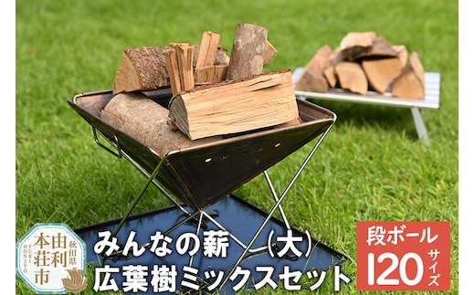 みんなの薪(大) 広葉樹ミックスセット20cmから25cmカット 120サイズ