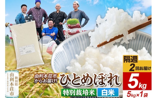 《2週間毎お届け》【定期便2回】令和8年産 新米受付【白米】ひとめぼれ 5kg（5kg×1袋）特別栽培米 秋田県産 [ひとめぼれ 新米予約 米 お米 白米 精米 特別栽培米 ブランド米 食卓 おにぎり 秋田県産 秋田]