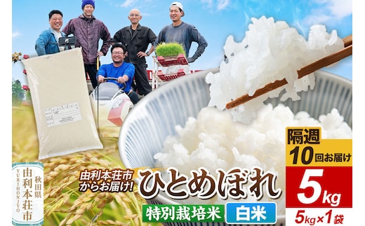 《2週間毎お届け》【定期便10回】令和8年産 新米受付【白米】ひとめぼれ 5kg（5kg×1袋）特別栽培米 秋田県産 [ひとめぼれ 新米予約 米 お米 白米 精米 特別栽培米 ブランド米 食卓 おにぎり 秋田県産 秋田]