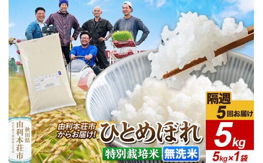 《2週間毎お届け》【定期便5回】令和8年産 新米受付【無洗米】ひとめぼれ 5kg（5kg×1袋）特別栽培米 秋田県産 [ひとめぼれ 新米予約 米 お米 無洗米 特別栽培米 ブランド米 食卓 おにぎり 秋田県産 秋田]