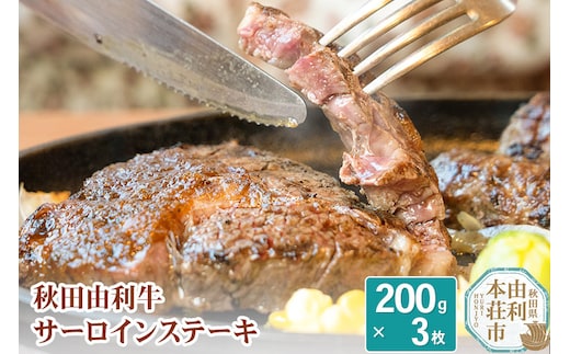 秋田由利牛 サーロインステーキ 200g×3枚