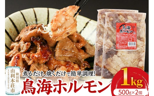 鳥海ホルモン 2個入（500g×2） [鳥海 ホルモン 豚肉 肉 内臓ミックス BBQ 煮るだけ 焼くだけ 簡単調理 真空包装 夕食 おかず 惣菜 冷凍 秋田県 由利本荘市]