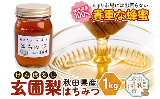 小松養蜂場 はちみつ 秋田県産 100％ 玄圃梨蜂蜜 1kg