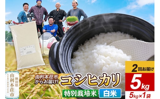 《定期便2ヶ月》令和7年産【白米】特別栽培米 コシヒカリ 5kg 秋田県産 [コシヒカリ 米 お米 こめ 白米 精米 ブランド米 特別栽培米 食卓 おにぎり 秋田県産 秋田]