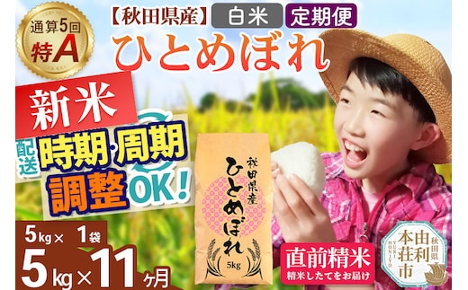 《定期便11ヶ月》令和7年産 【白米】通算5回特A 秋田県産ひとめぼれ 5kg(5kg×1袋)×11回 開始時期選べる お届け周期調整 隔月に調整OK お米 米 こめ 藤岡農産