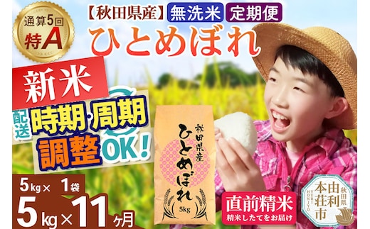 《定期便11ヶ月》令和7年産 【無洗米】通算5回特A 秋田県産ひとめぼれ 5kg(5kg×1袋)×11回 開始時期選べる お届け周期調整 隔月に調整OK お米 米 こめ 藤岡農産