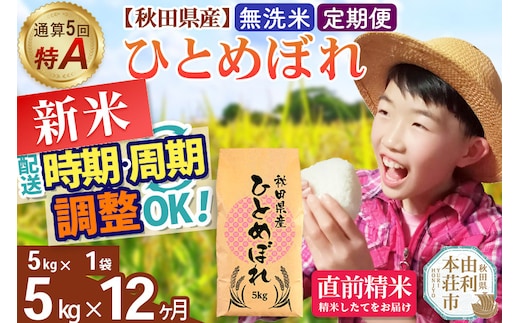 《定期便12ヶ月》令和7年産 【無洗米】通算5回特A 秋田県産ひとめぼれ 5kg(5kg×1袋)×12回 開始時期選べる お届け周期調整 隔月に調整OK お米 米 こめ 藤岡農産