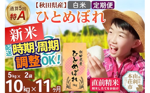 《定期便11ヶ月》令和7年産 【白米】通算5回特A 秋田県産ひとめぼれ 10kg(5kg×2袋)×11回 開始時期選べる お届け周期調整 隔月に調整OK お米 米 こめ 藤岡農産