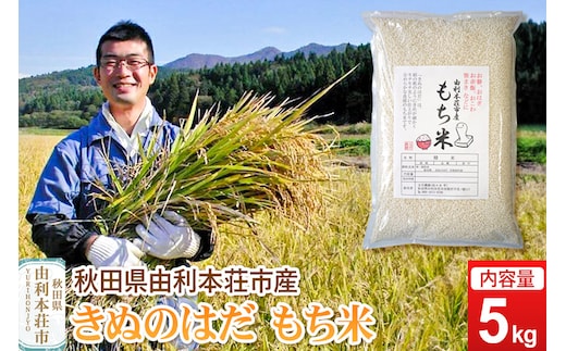 《予約受付》令和7年産【もち米】 5kg 秋田県由利本荘市産 きぬのはだ 精米 5kg